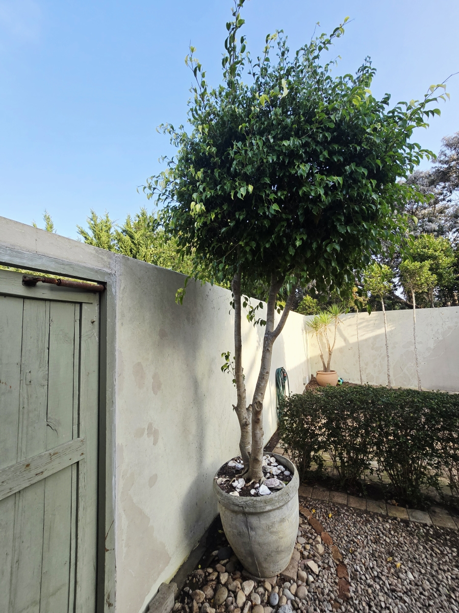 3 Bedroom Property for Sale in Wilderness Central Western Cape